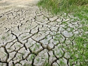 Study Reveals Climate was More Variable During the Last Inter-Glacial Period