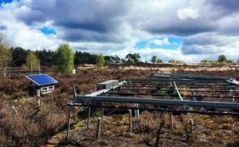 Study Shows How Microorganisms Respond and Contribute to Future Climate Change