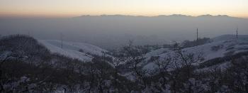 Study Shows Air Pollution is Associated with Increased Risk of Miscarriage