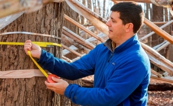 Study Shows Forests, Similar to Humans, Require a Balanced Diet