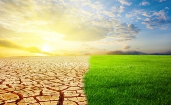 Study Reveals the Sahara Desert Swung Between Wet and Dry Climates Every 20,000 Years