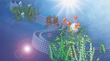 Natural Membrane Adapted to Create Renewable Fuels