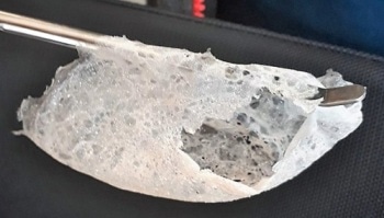 New Method to Produce Bioplastics Using Seaweed-eating Microorganisms