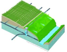 Saturated Buffers Could Reduce Nitrogen Released from Agricultural Drainage by 5%–10%