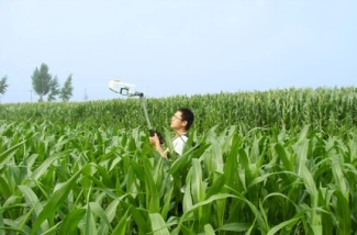 Researchers Identify the Most Efficient Strategy to Manage Nitrogen in Agriculture