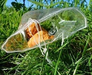 UK Researchers Develop Edible, Biodegradable Food Packaging Film Derived from Plants