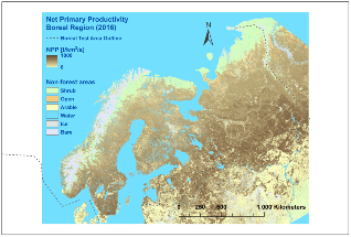 New EU-Funded Forest Flux Project Estimates Forest Carbon Storage and Assimilation