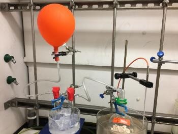 Scientists Develop a Process that Removes CO2 from Coal-Burning Power Plant Emissions