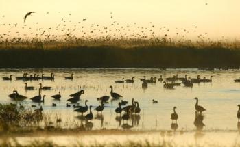 Study Emphasizes the Need to Significantly Ramp Up Efforts to Protect World’s Inland Waters