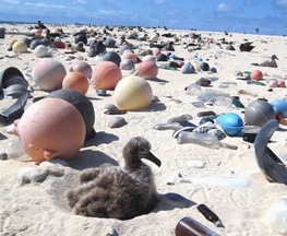 Innovative Chemical Conversion Technology to Convert World’s Plastic Waste into Clean Fuels, Other Products