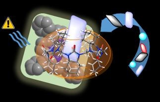 Researchers to Develop “Chemical Noses” to Remove Industrial Pollutants from the Environment