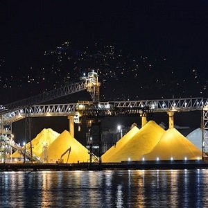 Sulfur: Alternative to Carbon in the Manufacture of Polymers
