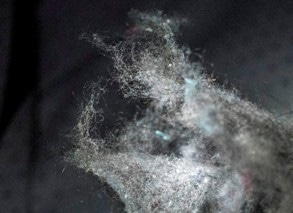 Efforts to Curb Plastic Pollution Caused by Microplastics