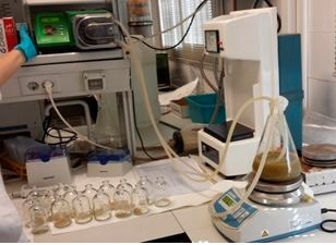 Researchers Reduce Ammonia and Methane Emissions Produced by Ruminants