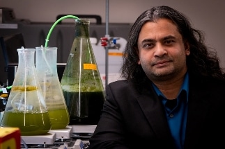 Researchers Develop a Fast Technique to Convert Algae into Biocrude