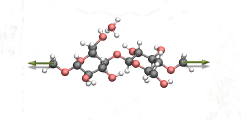 Researchers Identify New Mechanism to Convert Cellulose Efficiently and Environmentally Friendly