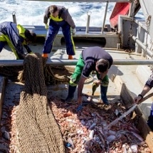 RepescaPlas Project Targets Recovery of Toxic Marine Waste