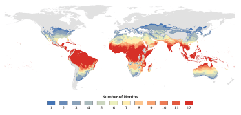 Climate Change Will Force Mosquitoes to Roam Beyond Their Current Habitats