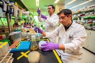 Study Shows Plant-Based Bio-Jet Fuels Could Provide a Competitive Alternative to Conventional Petroleum Fuels