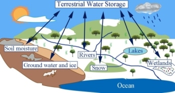 Incorporating Current Decadal Climate Prediction Could Improve Baseline Skill of Terrestrial Water Storage Prediction