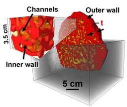 Researchers Observe Climate Control Features in Termite Nests