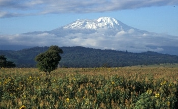 Increasing Land Use and Severe Climatic Conditions Adversely Impact Biodiversity and Ecosystems