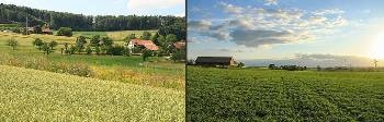 New Theory for Boosting Agriculture Sustainability