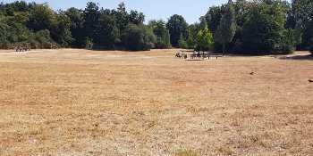 Study Shows Anthropogenic Climate Change is Responsible for Large-Scale Heatwaves Across the World