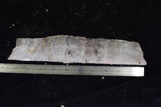Scientists Help Reconstruct Ancient Transformations in the Ice Cover over the Arctic Ocean