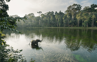 Current International Target for the Protected Area Estate Fails, Argue Scientists