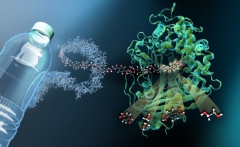 Researchers Solve the Structure of Key Enzyme for Sustainable Recycling of PET Polymer