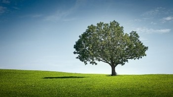 Clean Carbon Conversion Aims to Develop Green Tech Solution to Fight Constantly Growing Waste