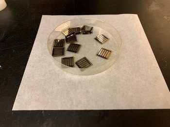 Caffeine Helps Improve Perovskite Solar Cells' Efficiency and Stability