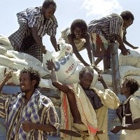 Study Explores Trade-Offs Between Climate Mitigation and Food Security