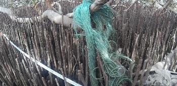 Accumulation of Marine Plastic Pollution Poses a Major Threat to Coastal Ecosystems