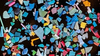 Study Investigates Impact of Microplastics on the Environment