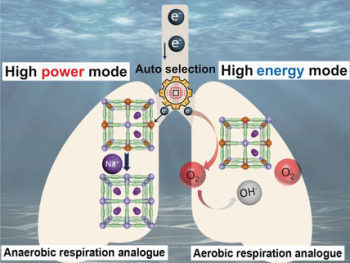 Energy from Seawater: Power Generator Autonomously Switches Between Two Functional Modes
