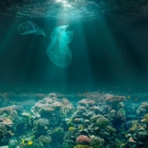 EUBP Declares Study on Deterioration of Compostable Plastic Bags Misleading