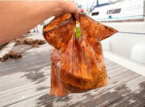Comparison of Degradation of Biodegradable and Non-Biodegradable Plastic Bags in Three Natural Environments