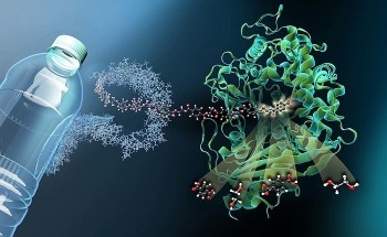New Study Paves Path for Synthesizing Enzymes for PET Recycling
