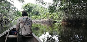 Researchers Conduct the First Detailed Study of How Rural Communities Interact with Peatlands