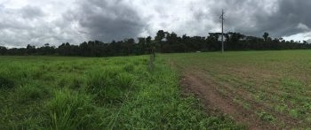 Deforestation Affects Abundance, Biomass, Richness, and Diversity of Soil Fauna and Microbes