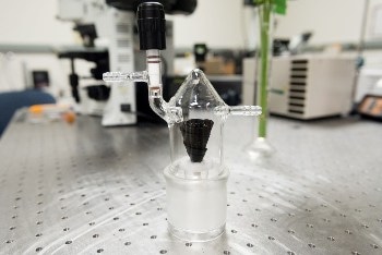 Rose Provides Inspiration for Developing New Kind of Solar-Steaming System for Water Production