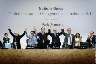 IASS Experts Believe Democratic Engagement Will Revive Climate Change Goals