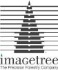 Effectively Managing Forests has Important Societal Implications