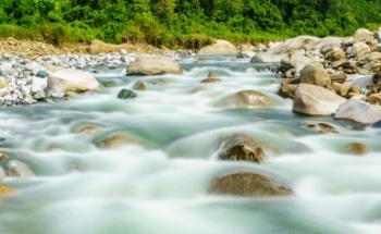 Mineral-Induced Carbon Sequestration May Explain Abundance of Oxygen in the Earth’s Atmosphere