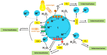 Scientists Use New Approach to Eliminate Antibiotics in Water