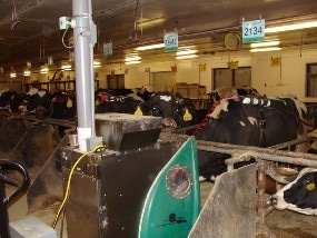Seaweed Feed Supplement May Not be a Viable Option to Fight Climate Change