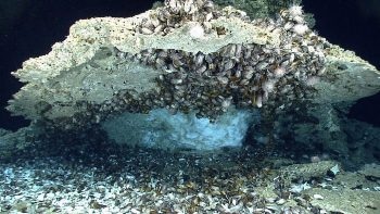 Study Shows CO2 can be Stored in Hydrates that are Extracted for Energy