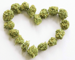 Cannabis Industry Awards Aim to Celebrate Cannabis and Hemp Pioneers in Australia
